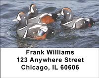 Harlequin Ducks Address Labels