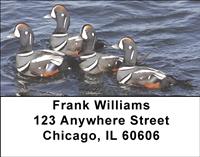 Harlequin Ducks Address Labels
