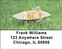 Cute Ducklings Address Labels
