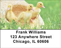 Cute Ducklings Address Labels