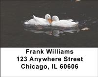 Duck Love Address Labels