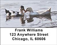 Duck Love Address Labels