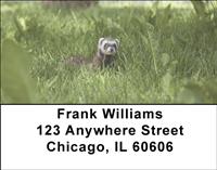 Ferrets In The Grass Address Labels