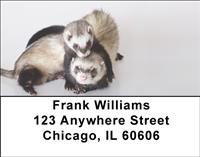 Silly Ferrets Address Labels