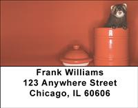Silly Ferrets Address Labels