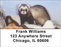 Silly Ferrets Address Labels