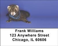 Silly Ferrets Address Labels