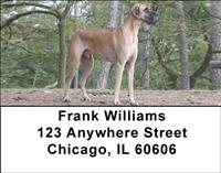 Majestic Great Danes Address Labels