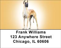 Majestic Great Danes Address Labels