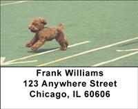 Agile Poodles Address Labels