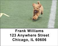 Agile Poodles Address Labels