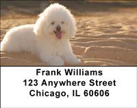 Poodles At The Beach Address Labels
