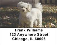 Poodles At The Park Address Labels