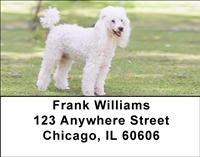 Poodles At The Park Address Labels