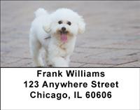 Poodles At The Park Address Labels