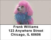 Dolled Up Poodles Address Labels