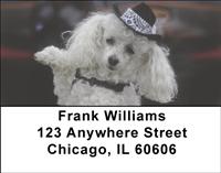 Dolled Up Poodles Address Labels