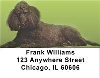Chocolate Poodles Address Labels