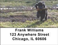 Black Poodles Address Labels