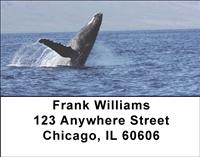 Majestic Whales Address Labels