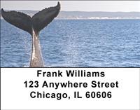 Majestic Whales Address Labels
