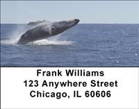 Majestic Whales Address Labels