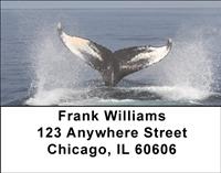 Majestic Whales Address Labels