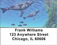 Whale Illustration Address Labels
