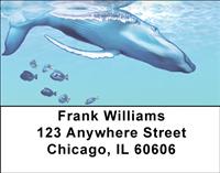 Whale Illustration Address Labels