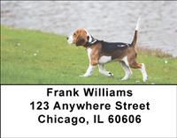Beagle Puppy Address Labels