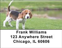 Beagle Puppy Address Labels