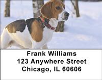Beagles In The Snow Address Labels