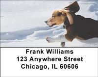 Beagles In The Snow Address Labels
