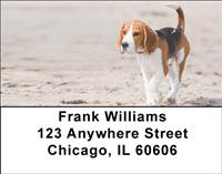 Beagles At The Beach Address Labels