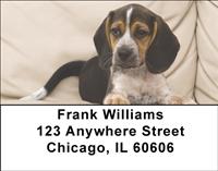 Resting Beagles Address Labels