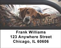 Resting Beagles Address Labels
