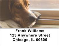 Resting Beagles Address Labels