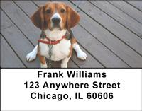 Cute Beagles Address Labels