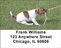 Active Beagles Address Labels