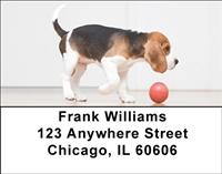Active Beagles Address Labels