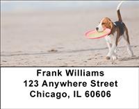 Active Beagles Address Labels