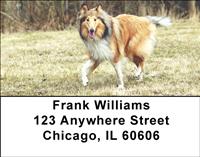 Playful Collies Address Labels