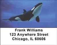 Orcas Address Labels