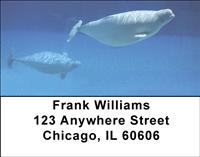 Beluga Whales Address Labels