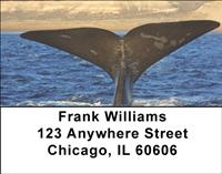 Whale Tails Address Labels