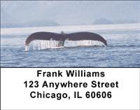 Whale Tails Address Labels