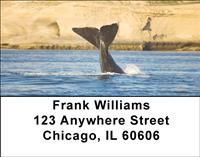 Whale Tails Address Labels