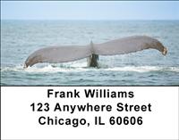 Whale Tails Address Labels