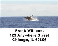 Breaching Whales Address Labels