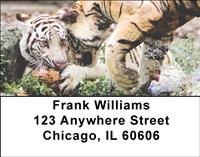 Playful Tigers Address Labels